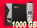 1000 GB TV-Mediaplayer/externe Multimedia Festplatte