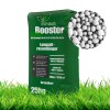 25kg Rasend�nger Anti-Moos Gr�n Booster gesunde Rasen Stickstoff Turbo Granulat