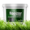 5kg Rasend�nger Anti-Moos Eimer Gr�n Booster gesunde Rasen Turbo Granulat 5 kg