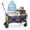 EASYmaxx Bollerwagen faltbar Handwagen Transportwagen Strand Picknick Wagen