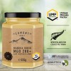 Egmont Honey Manuka Honig XXL im Glas - MGO 280+ UMF 10+ 225g - 100% Neuseeland
