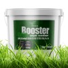 5kg Rasendnger Anti-Moos Eimer Grn Booster gesunde Rasen Turbo Granulat TOP