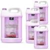 25 Liter Scheibenreiniger mit Sommerduft Bubblegum 5x 5L Scheibenwischwasser TOP