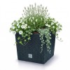 Prosperplast Blumentopf Blumenk�bel Anthrazit mit Pflanzeinsatz, Kunststoff
