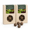 40 St�ck Saatkugeln Salat Rauke Babyleaf Pfl�cksalat Kresse Garten Topf Balkon