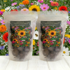 40 St�ck Saatkugeln Samenbomben  Sommerblumen Bienen Hummeln Schmetterlinge