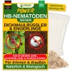 HB-Nematoden gegen Engerlinge, Dickmaulr�ssler & K�ferlarven- 5 bis 50 Millionen