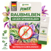 Raubmilben gegen Spinnmilben, 1 bis 50 T�ten N�tzlinge, Green Guardia�